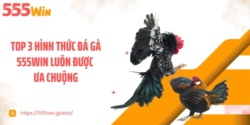 Top 3 hình thức đá gà 555WIN luôn được ưa chuộng